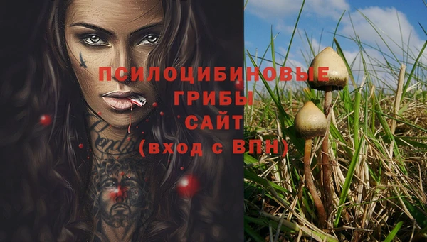 МДМА Арсеньев