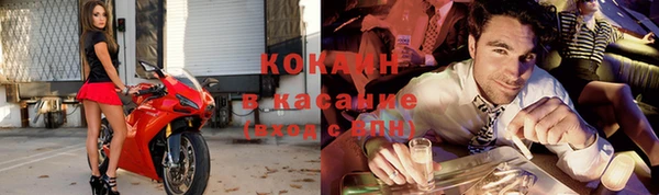 стаф Алексин